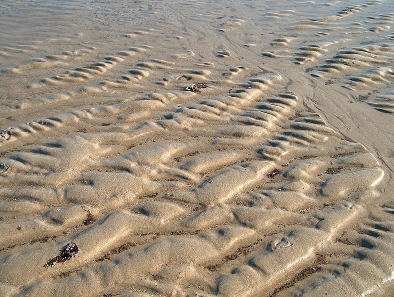 Recycled Art Projects